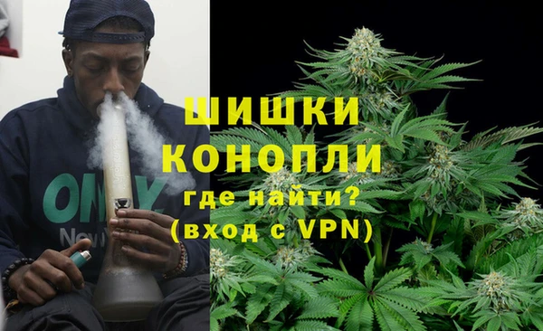 спайс Баксан