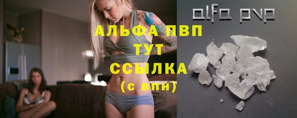 спайс Баксан