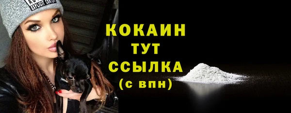 спайс Баксан