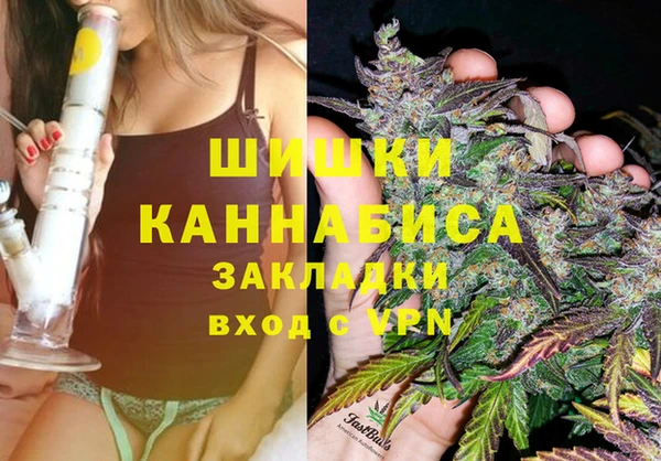 герыч Арсеньев