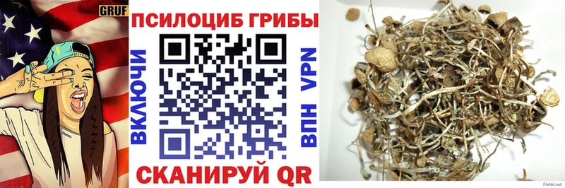 наркота MEGA Псилоцибиновые грибы Magic Shrooms Кировск